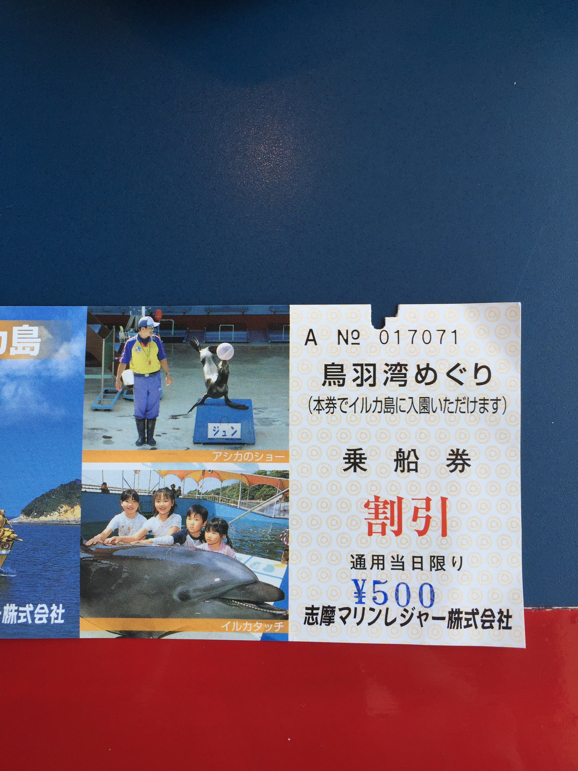 500円で楽しめる鳥羽湾めぐりとイルカ島